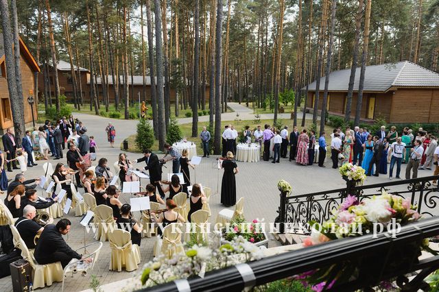 Лукинский Николай ведущий на свадьбу